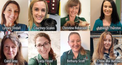 Finalists revealed for BVNA awards